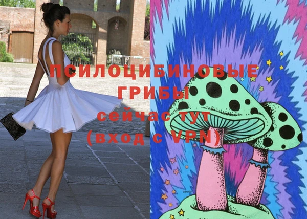 apvp Абаза