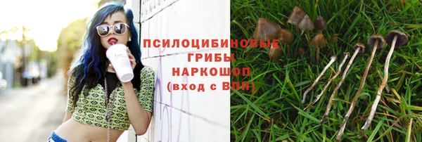 спиды Абинск