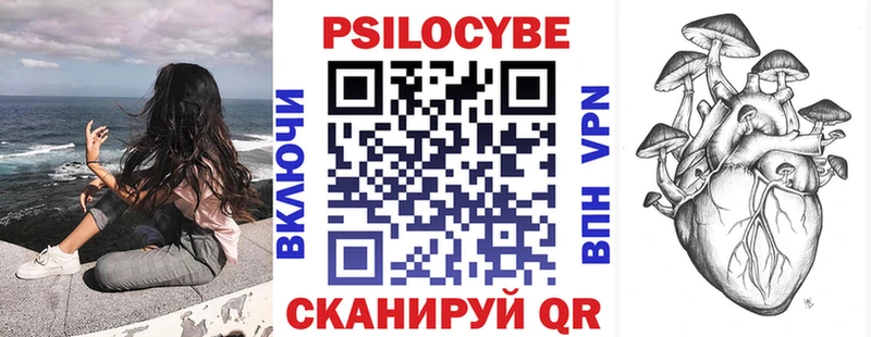 купить   Дивногорск  Псилоцибиновые грибы Magic Shrooms 